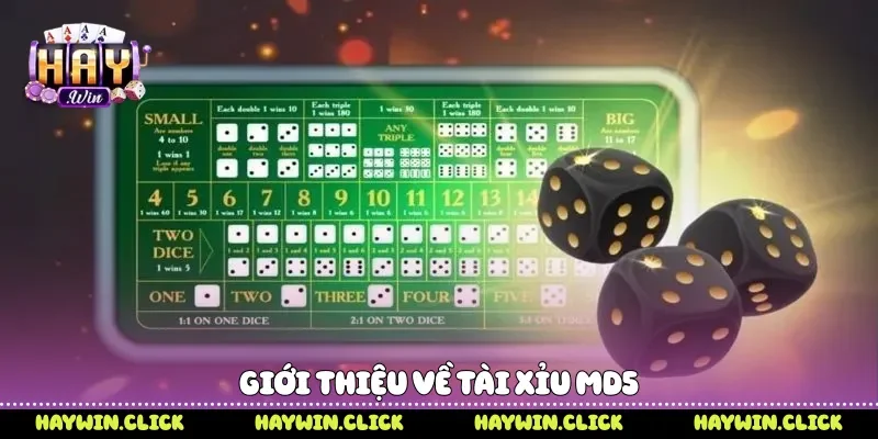 Giới thiệu về tài xỉu MD5