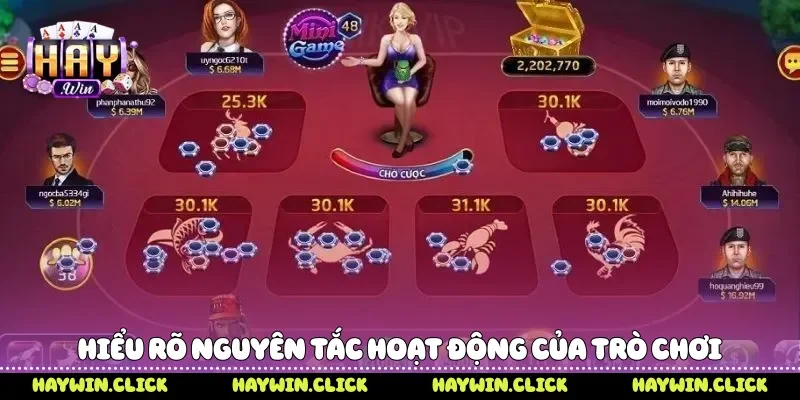 Lắc Bầu Cua - Hướng Dẫn Phương Pháp Chơi Dễ Hiểu Tại Haywin Hiểu rõ nguyên tắc hoạt động của trò chơi