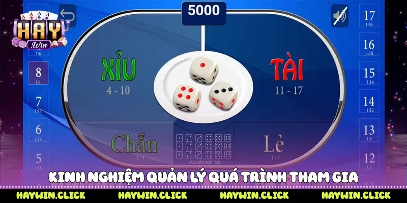 Tài Xỉu Kịch Tính Đỉnh Cao Thu Hút Người Chơi Tại Haywin Kinh nghiệm quản lý quá trình tham gia
